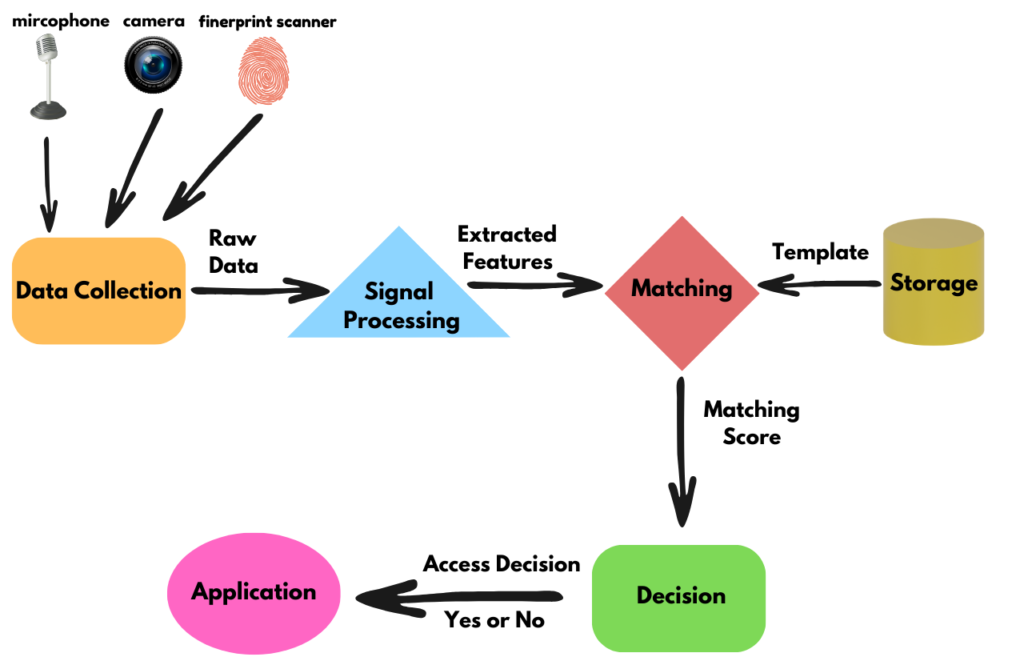 Diagram showing how biometric system works.