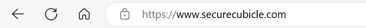 Screenshot of https and lock icon